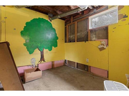 117 Bateson Street, Bittern Lake, AB - Indoor Photo Showing Basement