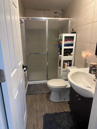 5113 51 Street, Castor, AB - Indoor Photo Showing Bathroom