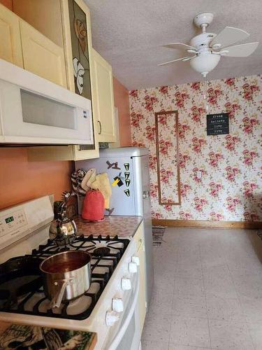 221 Center Avenue Ne, Milk River, AB - Indoor Photo Showing Kitchen