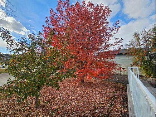 36 Burris Pointe, Lacombe, AB - Outdoor With View