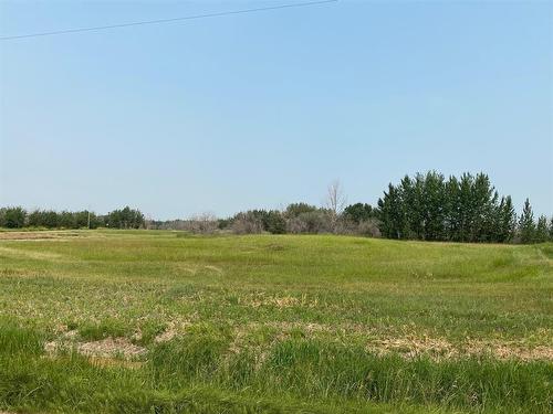 On Range Road 212, Rural Camrose County, AB 