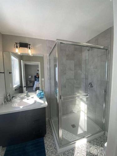 90 Memorial Parkway, Rural Red Deer County, AB - Indoor Photo Showing Bathroom