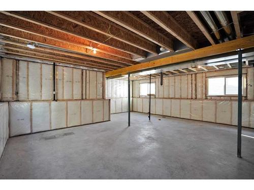 95 Livingston Close, Red Deer, AB - Indoor Photo Showing Basement