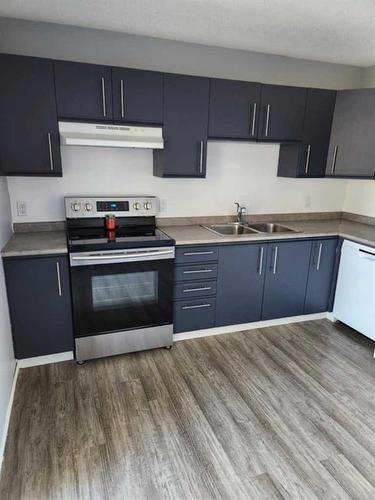 223-48 Holmes Street, Red Deer, AB - Indoor Photo Showing Kitchen With Double Sink