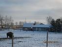 52029 Range Road 280, Rural Parkland County, AB 