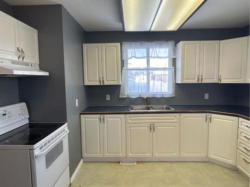 5419 48 Avenue West, Forestburg, AB - Indoor Photo Showing Kitchen With Double Sink