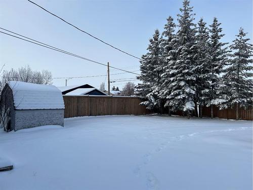 5419 48 Avenue West, Forestburg, AB - Outdoor