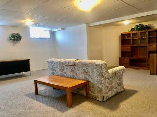 4619 55 Avenue, Lacombe, AB - Indoor Photo Showing Basement