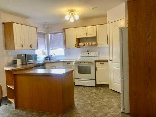 4619 55 Avenue, Lacombe, AB - Indoor Photo Showing Kitchen