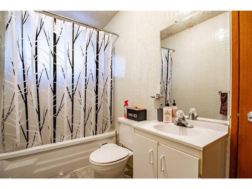 40303 Range Road 241, Rural Lacombe County, AB - Indoor Photo Showing Bathroom