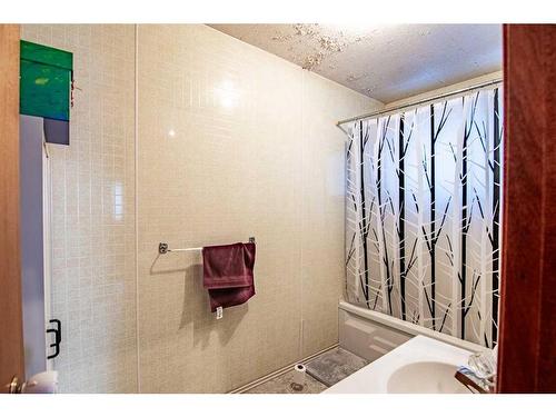 40303 Range Road 241, Rural Lacombe County, AB - Indoor Photo Showing Bathroom