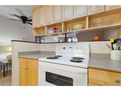 256-103 Hermary Street, Red Deer, AB - Indoor Photo Showing Kitchen