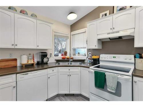 5321 58 Street, Lacombe, AB - Indoor Photo Showing Kitchen With Double Sink