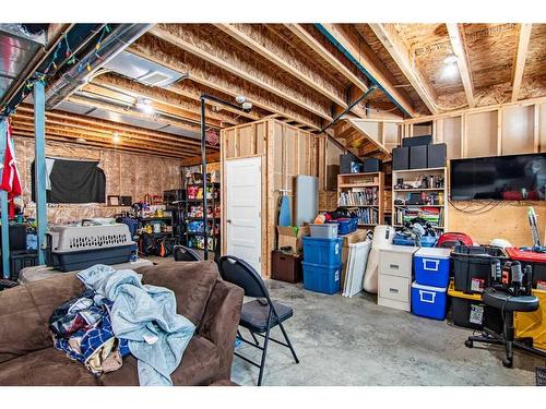 119 Cedar Square, Blackfalds, AB - Indoor Photo Showing Basement