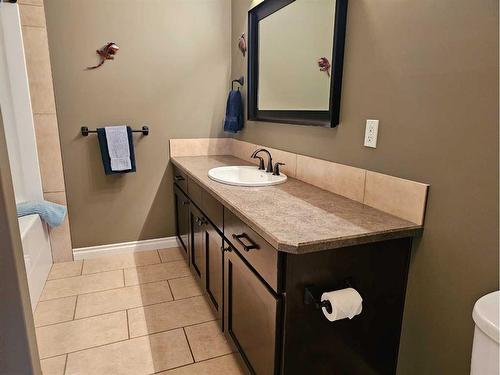 23-421003 Range Road 10, Rural Ponoka County, AB - Indoor Photo Showing Bathroom