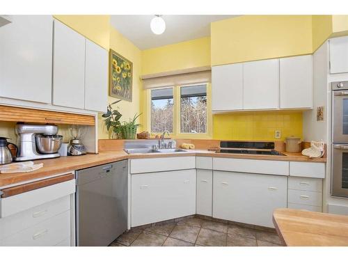 27 Selkirk Boulevard, Red Deer, AB - Indoor Photo Showing Kitchen With Double Sink