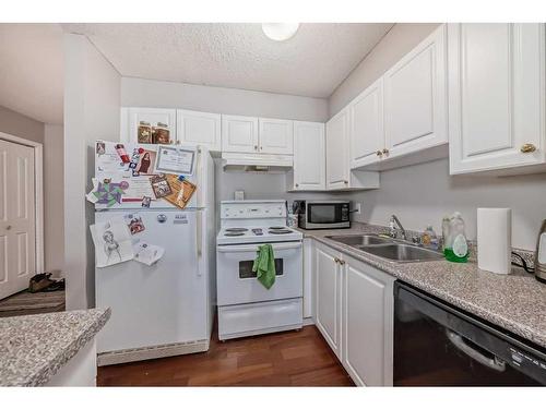 114-60 Lawford Avenue, Red Deer, AB - Indoor Photo Showing Kitchen With Double Sink