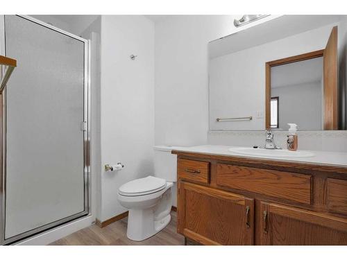 12 Dixon Crescent, Red Deer, AB - Indoor Photo Showing Bathroom