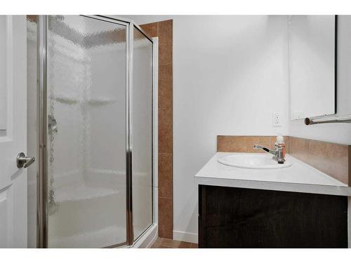 12 Dixon Crescent, Red Deer, AB - Indoor Photo Showing Bathroom