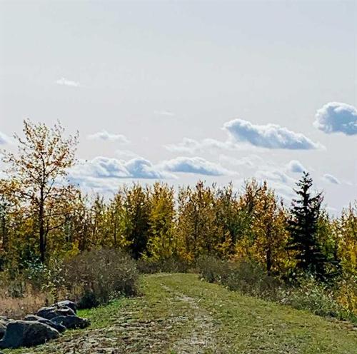 39-41019 Range Road 11, Rural Lacombe County, AB - Outdoor With View