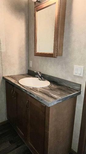 39-41019 Range Road 11, Rural Lacombe County, AB - Indoor Photo Showing Bathroom