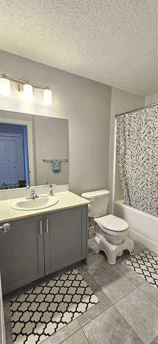 386 Hillcrest Road Sw, Airdrie, AB - Indoor Photo Showing Bathroom