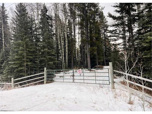 281118 Range Rd. 54, Rural Rocky View County, AB - Outdoor