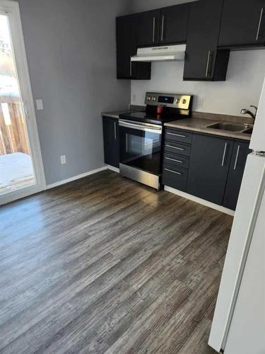 223-48 Holmes Street, Red Deer, AB - Indoor Photo Showing Kitchen With Double Sink