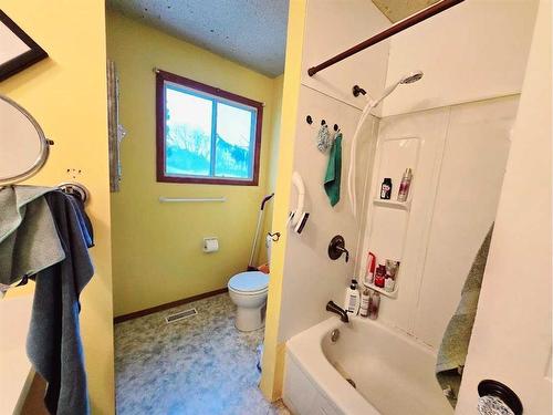 147 Mount Pleasant Drive, Camrose, AB - Indoor Photo Showing Bathroom