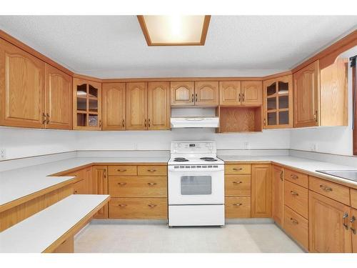 38524 Rge Rd 22-1, Rural Stettler No. 6, County Of, AB - Indoor Photo Showing Kitchen