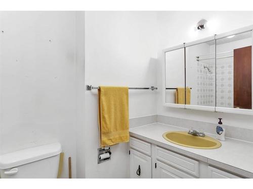 38524 Rge Rd 22-1, Rural Stettler No. 6, County Of, AB - Indoor Photo Showing Bathroom