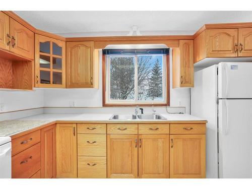 38524 Rge Rd 22-1, Rural Stettler No. 6, County Of, AB - Indoor Photo Showing Kitchen With Double Sink