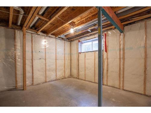 21 Pinetree Close, Blackfalds, AB - Indoor Photo Showing Basement