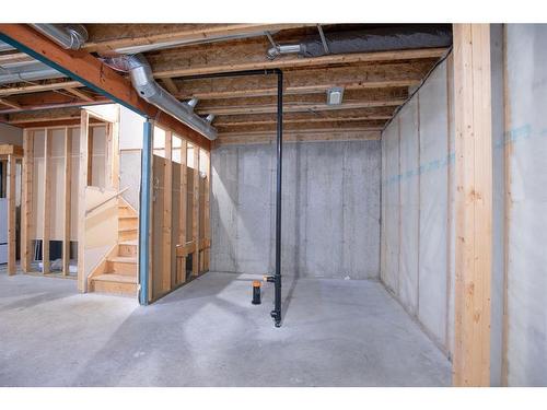 21 Pinetree Close, Blackfalds, AB - Indoor Photo Showing Basement