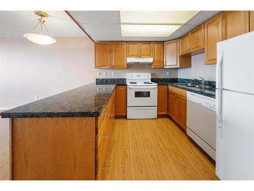 1108-4902 37 Street, Red Deer, AB - Indoor Photo Showing Kitchen With Double Sink