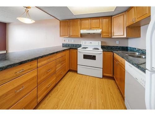 1108-4902 37 Street, Red Deer, AB - Indoor Photo Showing Kitchen With Double Sink