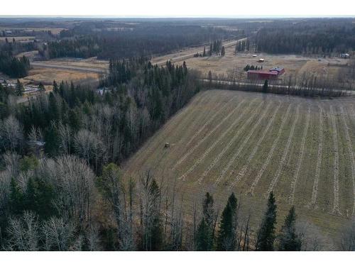 On Township Road 491, Rural Brazeau County, AB 