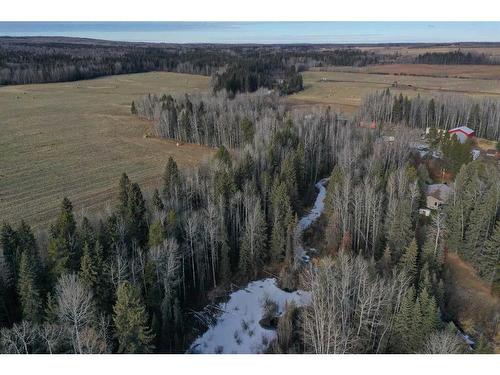 On Range Road 80, Rural Brazeau County, AB 