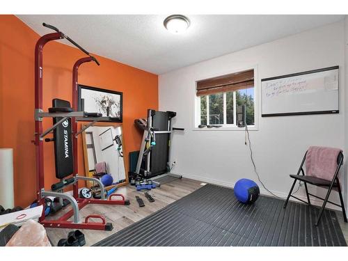 42064 Hwy #13, Rural Wetaskiwin No. 10, County Of, AB - Indoor Photo Showing Gym Room