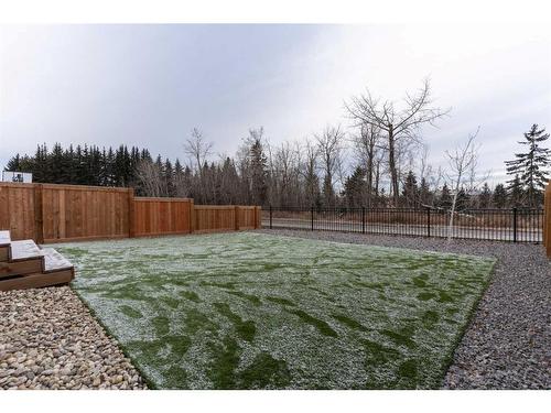 1090 Christie Vista Sw, Edmonton, AB - Outdoor