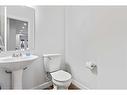 1090 Christie Vista Sw, Edmonton, AB  - Indoor Photo Showing Bathroom 