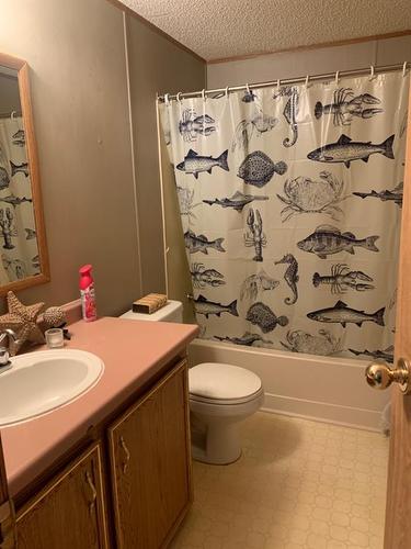 59-5311 60 Street, Rocky Mountain House, AB - Indoor Photo Showing Bathroom