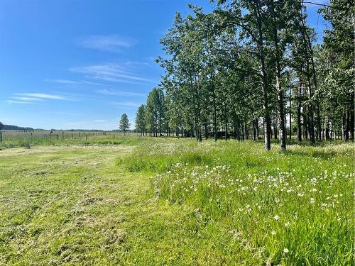 392041 Range Road 6-4, Rural Clearwater County, AB 