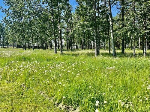 392041 Range Road 6-4, Rural Clearwater County, AB 