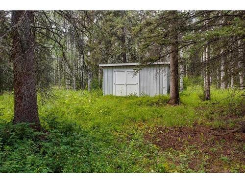 6101 Township Road 314, Rural Mountain View County, AB - Outdoor