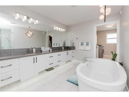 101 Lazaro Close, Red Deer, AB - Indoor Photo Showing Bathroom