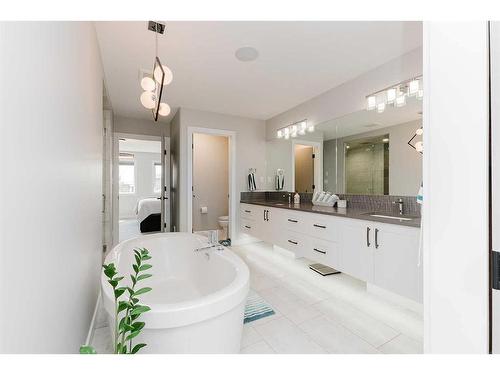 101 Lazaro Close, Red Deer, AB - Indoor Photo Showing Bathroom