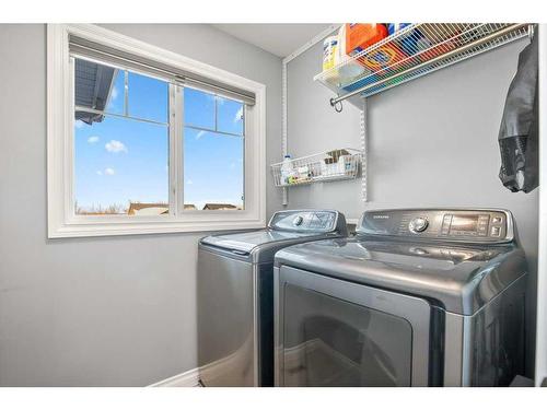 18 Cole Way, Sylvan Lake, AB - Indoor Photo Showing Laundry Room