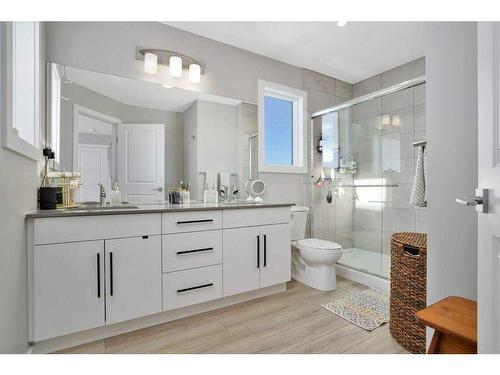 89 Memorial Parkway, Rural Red Deer County, AB - Indoor Photo Showing Bathroom