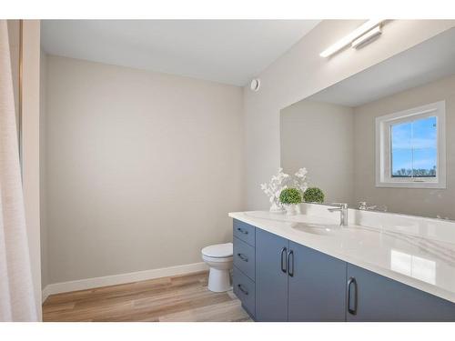 22 Palmer Circle, Blackfalds, AB - Indoor Photo Showing Bathroom